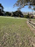A Serene Afternoon in Alamo Square