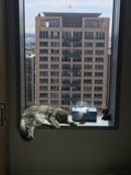 City Life Relaxation