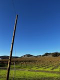 Country Lines