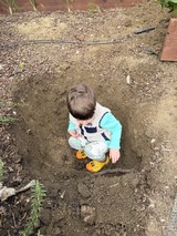 Young Child Playing in Garden Dirt Patch