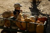 Harvest Adventure in 2023