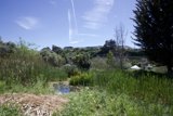 Serene Green: Earth Day at Alemany Farm