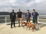 railing buddies and their furry friends