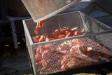Grillin' and Chillin' at the 2007 Lobster Festival