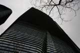 'Urban Elegance: The Melody of Concrete and Greens'
