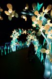 Blooming Delight at the Glowfari