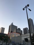 Urban Street Light