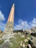 Towering Marvel