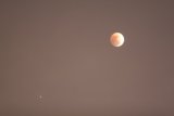 Blood Moon Eclipse