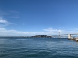 Bay Bridge Illuminated