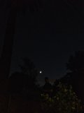 Moonlight Serenade