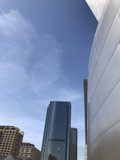 The Walt Disney Concert Hall