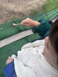 Nature's Gentle Touch