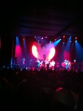 Spotlight on the Crowd