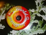 World Champion Skateboard