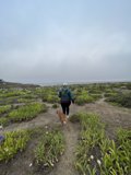 A Walk in the Golden Gate National Recreation Area