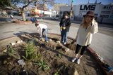 Guerilla Gardeners Take to the Street