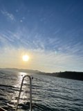 Sailboat sunset in Tiburon