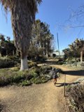 A Stroll Through Nature's Canvas