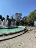 Furry Friend at the Majestic Fountain