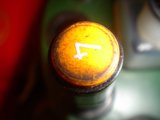The Yellow and White Button