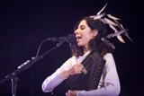 Feathered Singer