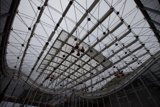 Suspended in Glass