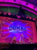 Dumbo the Musical: A Crowd-Pleasing Solo Performance