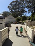 Stroll in the Summer Sun