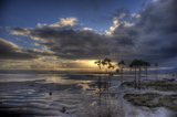 A Tropical Paradise on the Horizon