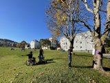 Fun in the Park