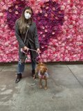 Masked Woman and Beagle Pose in Front of a Floral Wall