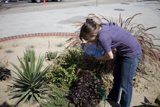 Garden Caretaker