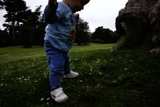 Fun in the Frisbee Field