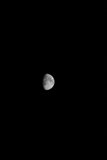 Lunar Beauty
