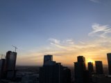 Golden Hour in the Urban Jungle