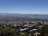 Overlooking the Bay