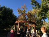 Romantic Garden Wedding Under the Arbour