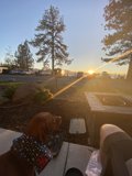 Sunset Pup on the Bench
