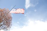 Old Glory in the Breeze