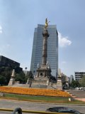 Monumental Bird on Top of an Office Building