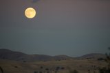 Luminescent Night Over Walnut Creek