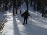 Skiing through the Evergreens