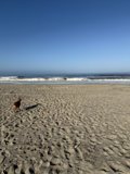 Embracing the Ocean Breeze