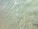 Into the Blue