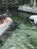 A Unique Culinary Adventure in the Pond
