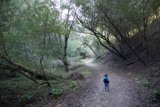 Strolling Through Nature's Embrace