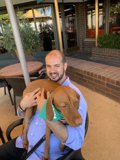 Man's Best Friend
