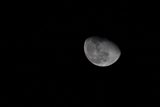 Moonlit Midnight Serenity