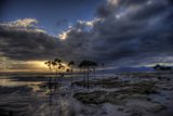 Moody Beach Skies